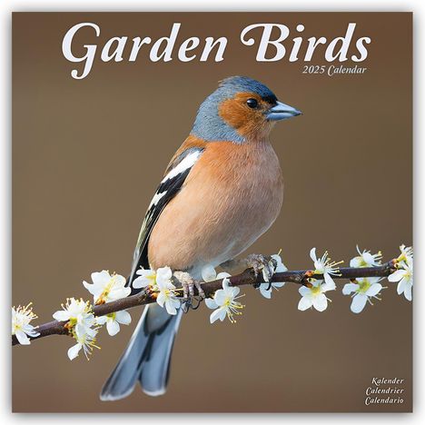 Avonside Publishing Ltd: Garden Birds - Gartenvögel 2025 - 16-Monatskalender, Kalender