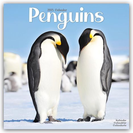 Avonside Publishing Ltd: Penguins - Pinguine 2025 - 16-Monatskalender, Kalender