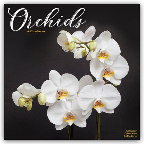 Avonside Publishing Ltd: Orchids - Orchideen 2025 - 16-Monatskalender, Kalender