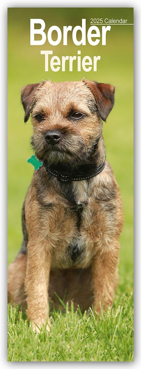 Avonside Publishing Ltd: Border Terrier 2025, Kalender