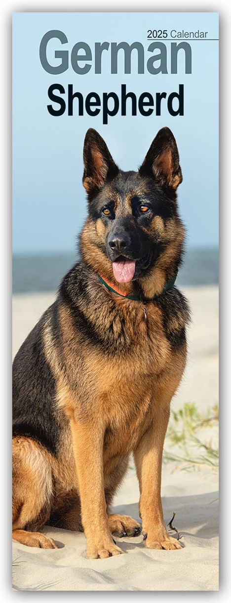 Avonside Publishing: German Shepherds - Deutsche Schäferhunde 2025, Kalender