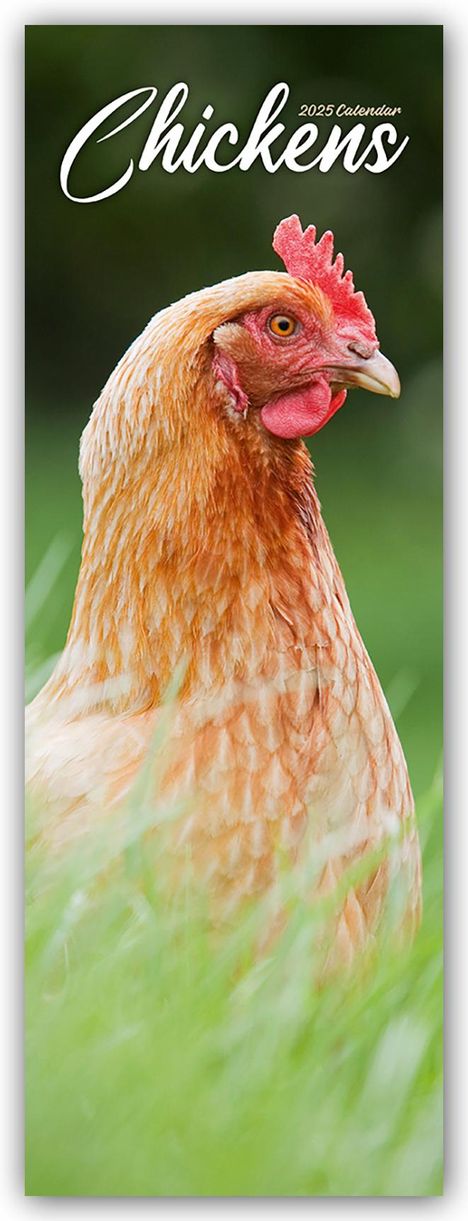 Avonside Publishing Ltd: Chickens - Hühner 2025, Kalender