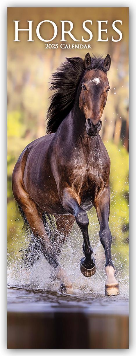 Avonside Publishing Ltd: Horses - Pferde 2025, Kalender