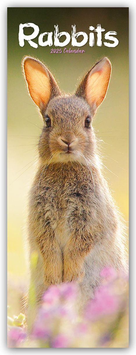 Avonside Publishing Ltd: Rabbits - Kaninchen 2025, Kalender