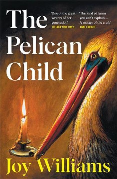 Texte: "The Pelican Child", Joy Williams. Ein Pelikan betrachtet eine brennende Kerze, illustrativer Stil.