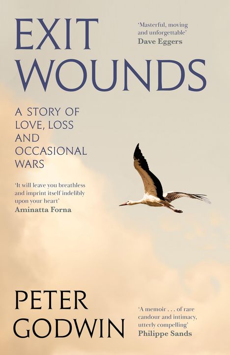 Peter Godwin: Exit Wounds, Buch