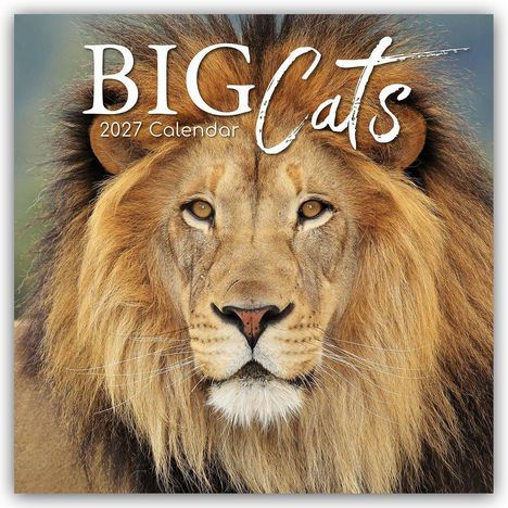 "BIG Cats 2027 Calendar" ist in Großbuchstaben auf einem Bild eines Löwen mit majestätischer Mähne geschrieben.
