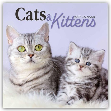 Text: "Cats & Kittens 2027 Calendar." Eine graue Katze und ein Kätzchen auf weichem, hellem Fell.