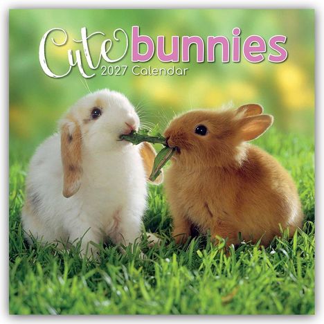 "Cute bunnies 2027 Calendar" in stilvoller Schrift. Zwei Kaninchen fressen Gras auf einer grünen Wiese.