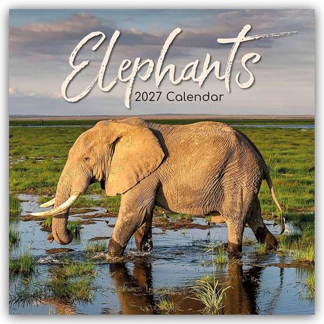 Text: "Elephants 2027 Calendar."  
Ein Elefant durchquert eine nasse Graslandschaft im Sonnenlicht.