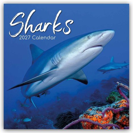 „Sharks 2027 Calendar“. Ein Hai schwimmt durch eine bunte, korallenreiche Unterwasserwelt, im Hintergrund ein weiterer Hai.