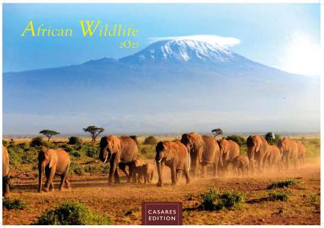 African Wildlife 2025 S 24x35 cm, Kalender