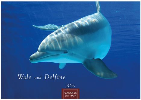 Wale und Delfine 2025 L 35x50cm, Kalender