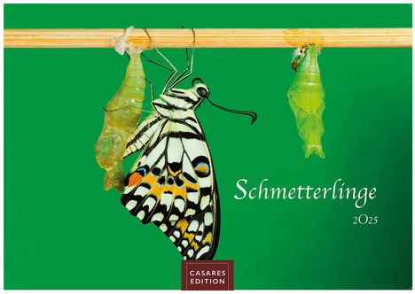 Schmetterlinge 2025 S 24x35cm, Kalender