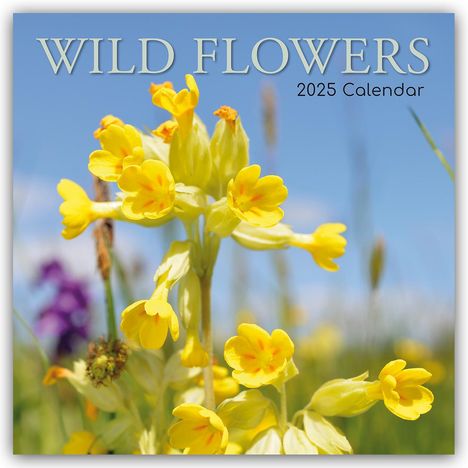 Gifted Stationery Co. Ltd: Wild Flowers - Wildblumen 2025 - 16-Monatskalender, Kalender