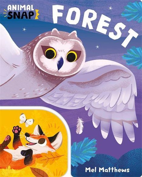 „Animal Snap: Forest“ und „Mel Matthews“. Eine Illustration zeigt eine Eule im Flug und einen fröhlichen Fuchs mit Schmetterling.