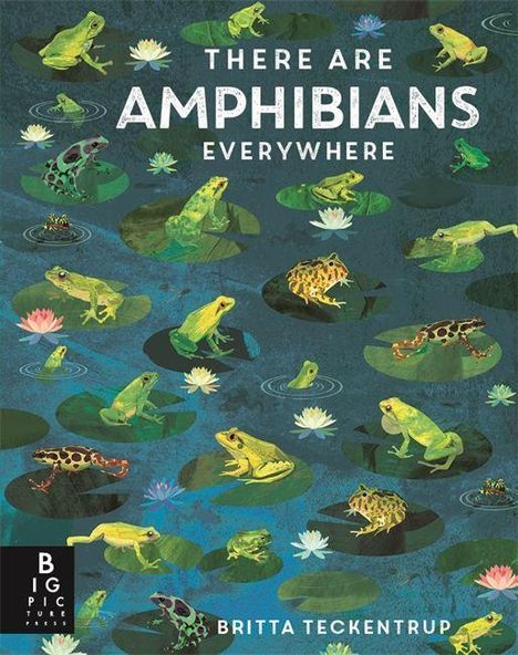 Text: "There are Amphibians Everywhere", "Britta Teckentrup". Illustration mit Fröschen auf Seerosen in einem Teich.