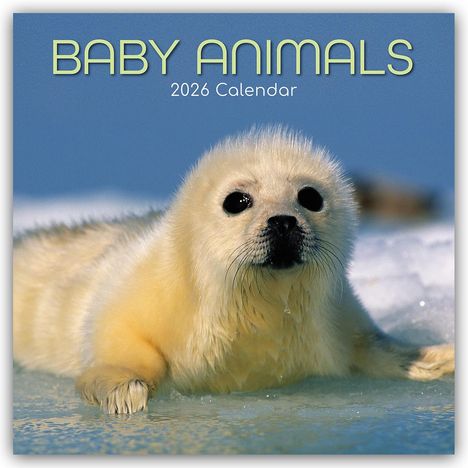 Gifted Stationery Co. Ltd: Baby Animals - Tierkinder 2026 - 16-Monatskalender, Kalender