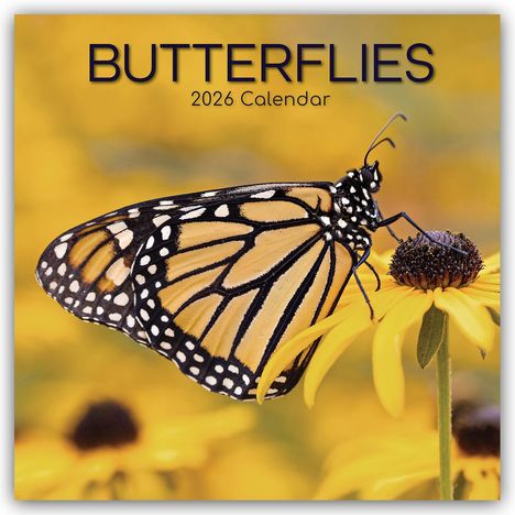 Gifted Stationery Co. Ltd: Butterflies - Schmetterlinge 2026 - 16-Monatskalender, Kalender