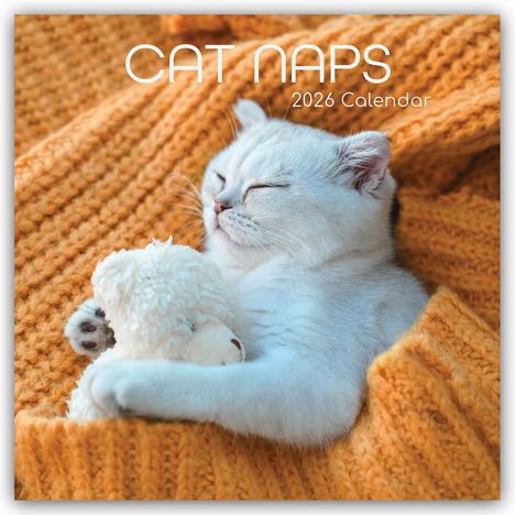 Gifted Stationery Co. Ltd: Cat Naps - Träumende Katzen 2026 - 16-Monatskalender, Kalender