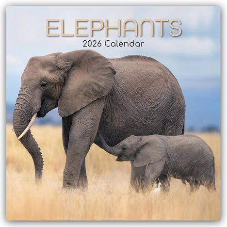 The Gifted: Elephants - Elefanten 2026 - 16-Monatskalender, Kalender