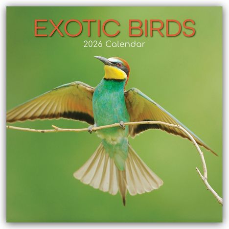 Gifted Stationery Co. Ltd: Exotic Birds - Exotische Vögel 2026 - 16-Monatskalender, Kalender