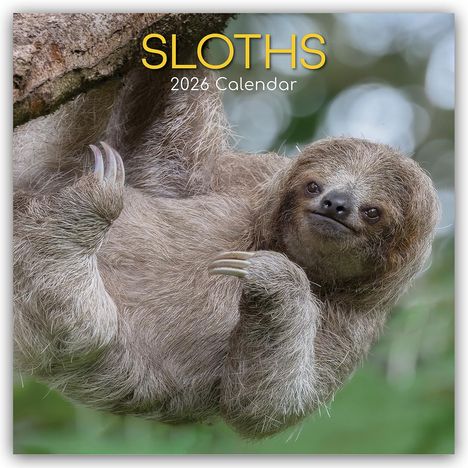 Gifted Stationery Co. Ltd: Sloths - Faultiere 2026 - 16-Monatskalender, Kalender