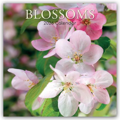 The Gifted: Blossoms - Blüten 2026 - 16-Monatskalender, Kalender