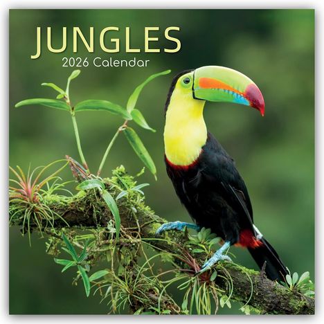 Gifted Stationery Co. Ltd: Jungles - Dschungel 2026 - 16-Monatskalender, Kalender