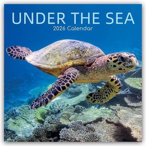 Gifted Stationery Co. Ltd: Under the Sea - Tropische Fische 2026 - 16-Monatskalender, Kalender
