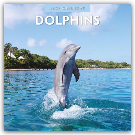 Text: "2027 Calendar DOLPHINS". Ein springender Delfin über dem Meer unter klarem, blauem Himmel.