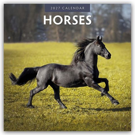 Text: "2027 Calendar", "Horses". Ein schwarzes Pferd galoppiert über eine grüne Wiese, im Hintergrund Bäume.