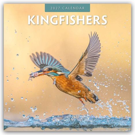 Aufschrift: "2027 CALENDAR" und "KINGFISHERS". Ein Eisvogel fliegt mit einem Fisch im Schnabel aus spritzendem Wasser.