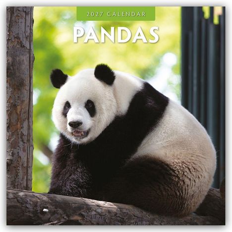 Text: "2027 Calendar PANDA" zeigt zwei spielende Pandas auf einem Baum.