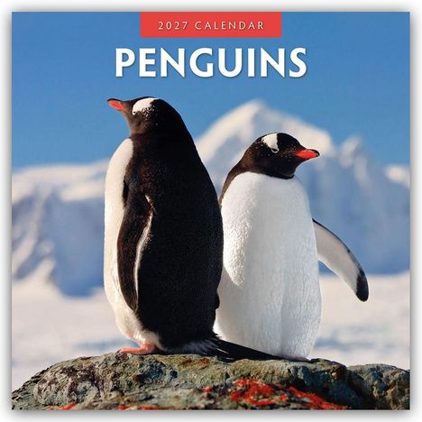 Text: "2027 Calendar PENGUINS". Zwei Pinguine auf einem Felsen, Hintergrund mit Schnee und blauem Himmel.