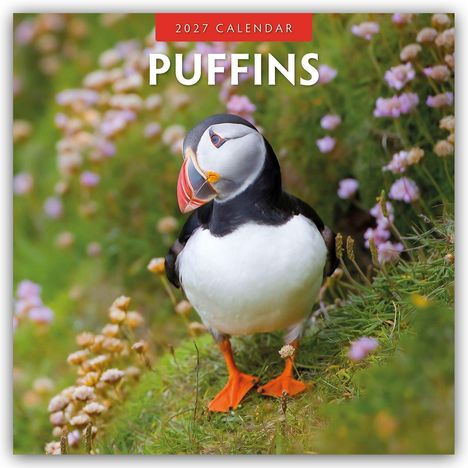 „2027 Calendar PUFFINS“ steht im Bild. Ein Papageientaucher steht auf einer Wiese mit rosa Blüten.