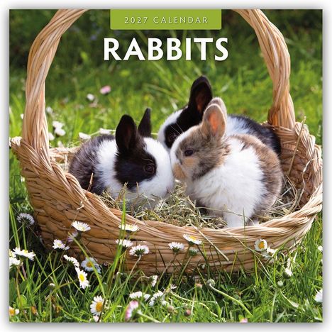 Text: "2027 Calendar, Rabbits". Drei Kaninchen in einem Korb auf einer Wiese mit Gänseblümchen.