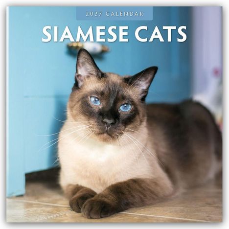 Text: "2027 Calendar" und "Siamese Cats". Eine Siamkatze mit blauen Augen liegt vor einem blauen Schrank.