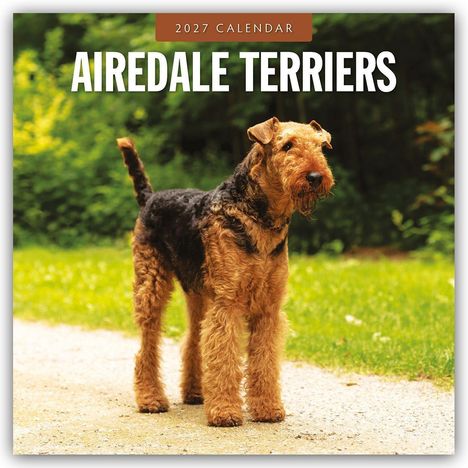 "2027 Calendar" und "Airedale Terriers" über einem Airedale Terrier auf einem Weg vor grünem Hintergrund.