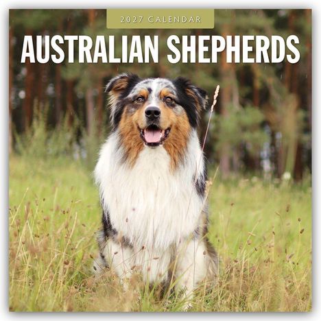 „2027 Calendar“, „Australian Shepherds“. Ein fröhlicher Australian Shepherd sitzt auf einer Wiese vor einem Wald.