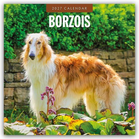 Text: "2027 Calendar BORZOIS". Ein großer, eleganter Hund steht in einem blühenden Garten vor einer Steinmauer.