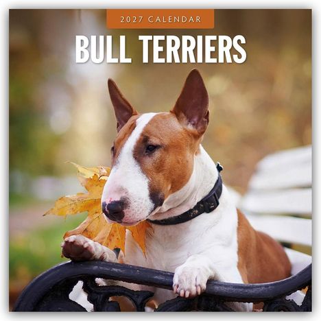 Text: "2027 CALENDAR BULL TERRIERS". Ein Bull Terrier auf einer Bank, hält ein Herbstblatt im Maul.
