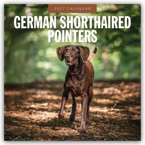 Text: "2027 Calendar, German Shorthaired Pointers." Ein Hund läuft durch einen sonnigen Waldweg.