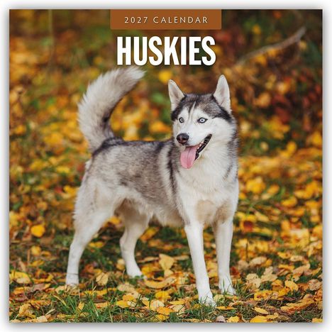 Text: "2027 CALENDAR, HUSKIES". Ein Husky steht auf einer Wiese mit gelben Blättern, Blick nach rechts, Zunge raus.