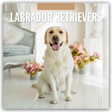 Text: "2027 Calendar" und "Labrador Retrievers". Ein Labrador sitzt lächelnd vor Blumen in einem hellen Raum.