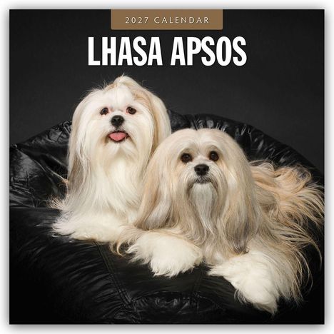 Text: "2027 Calendar, Lhasa Apsos." Zwei flauschige Lhasa Apso-Hunde auf einem schwarzen Sessel.