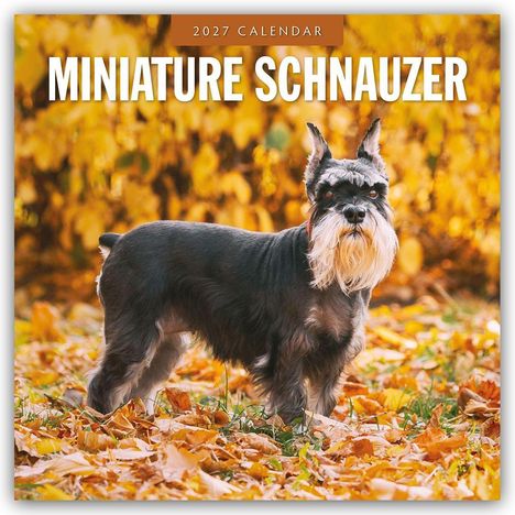 „2027 CALENDAR MINIATURE SCHNAUZER“ steht oben. Ein Zwergschnauzer steht auf herbstlichen Blättern vor goldenen Bäumen.
