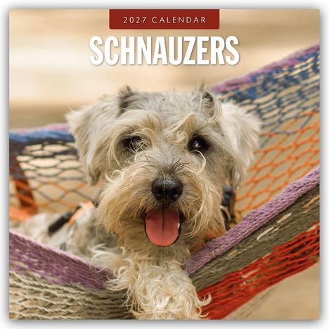 Text: "2027 CALENDAR SCHNAUZERS". Ein Schnauzer mit herausgestreckter Zunge liegt entspannt in einer bunten Hängematte.