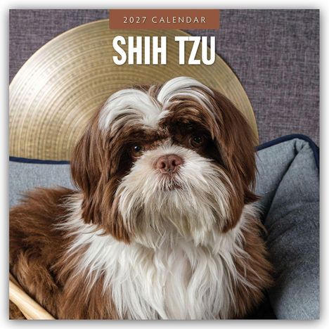 Text: "2027 Calendar" und "Shih Tzu". Ein flauschiger Shih Tzu mit braun-weißem Fell sitzt auf einem blauen Kissen.