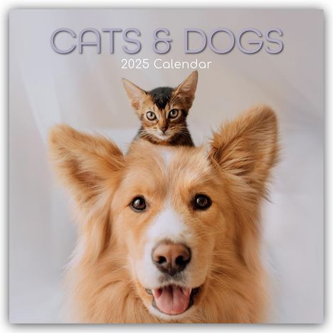 Gifted Stationery Co. Ltd: Cats and Dogs - Katzen und Hunde 2025 - 16-Monatskalender, Kalender